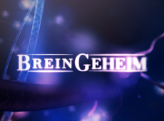 Breingeheim